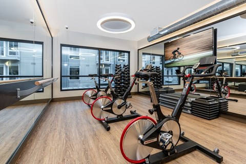 A gym with a row of stationary bikes