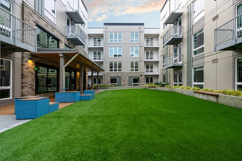 A grassy courtyard is surrounded by apartment buildings.