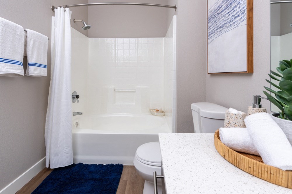 a bathroom with a tub and a toilet and a sink