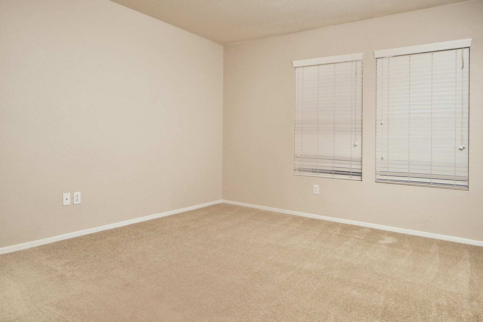 Apartments in Escondido, CA - Modern Living With Stylish Decor, Carpet and Large Windows