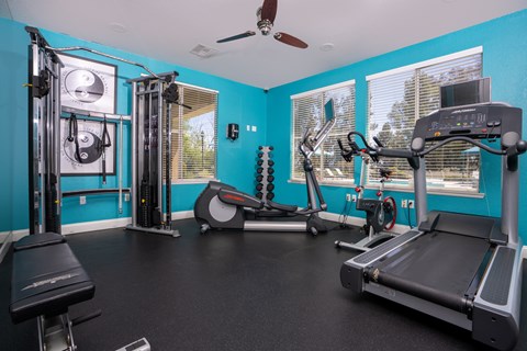A gym with a variety of equipment including treadmills, weights, and a bench press.