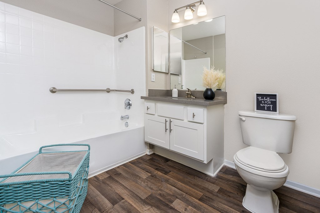a bathroom with a toilet and a sink and a mirror