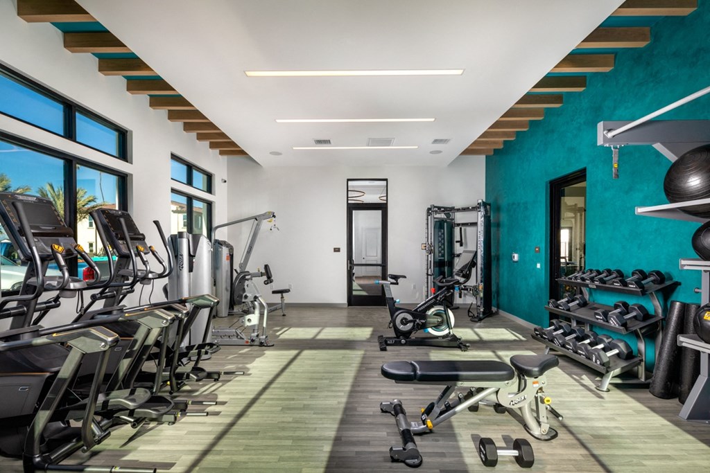 a gym with cardio equipment and weights on the floor