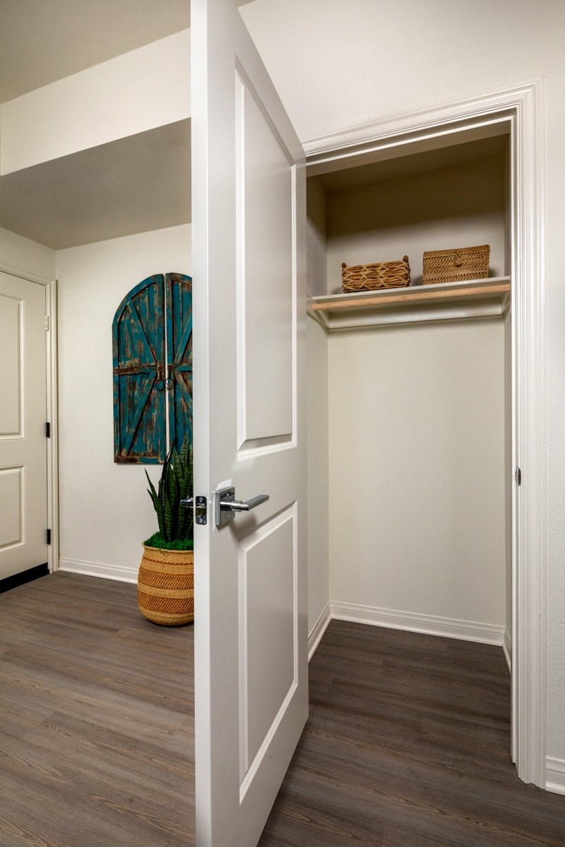 a hallway with a door to a closet and a potted plant