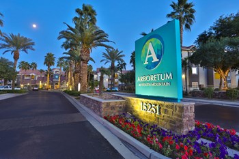 Apartments for Rent Phoenix - Arboretum at South Mountain Apartments - Front Arboretum Sign Leading to Lush, Lit Up Landscaping Lining the Driveway - Photo Gallery 9