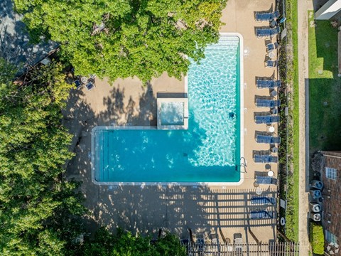 An aerial view of a swimming pool surrounded by trees and lounge chairs.