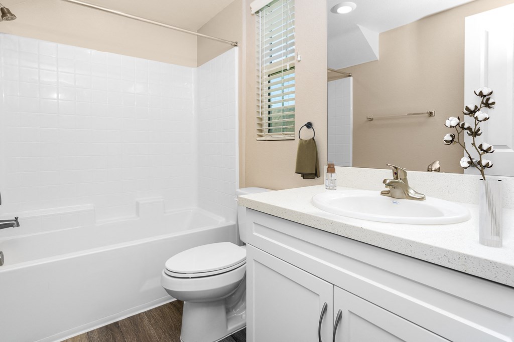a bathroom with a sink toilet and bathtub