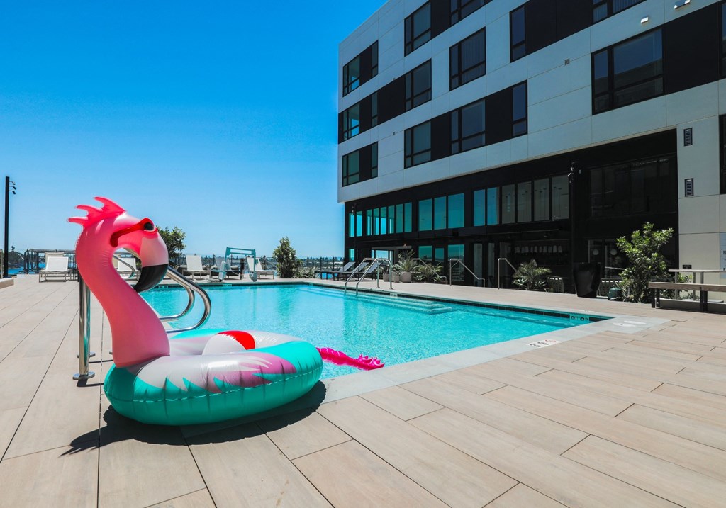 Brooklyn Basin Oakland, CA Apartments - Artizan - Resort-Style Pool with Sun Deck, Lounge Chairs, and View of the Harbor