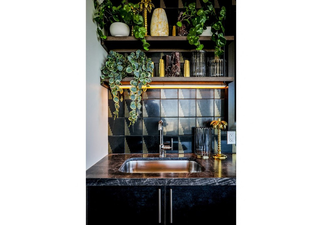 artizan kitchen stylish sink and backsplash