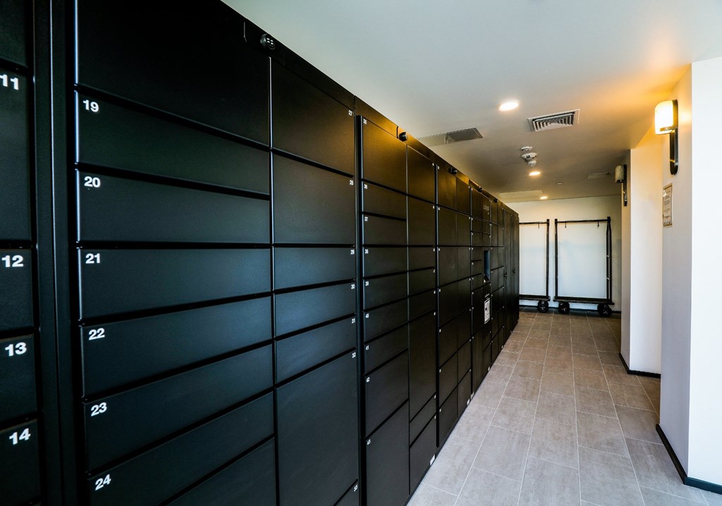 artizan package lockers