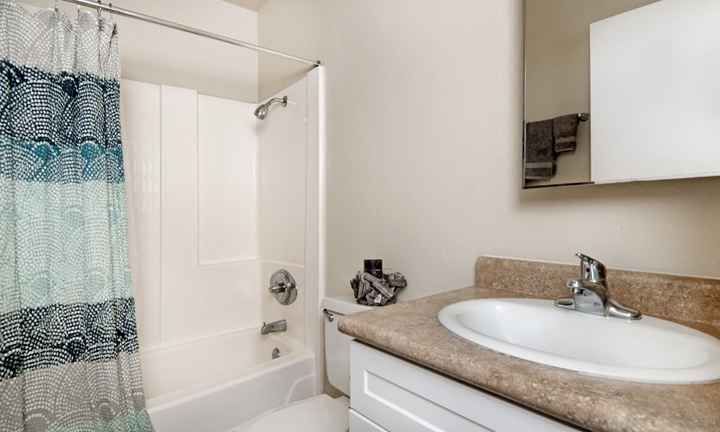 brewster furnished bathroom at Avenue Two Apartments, California