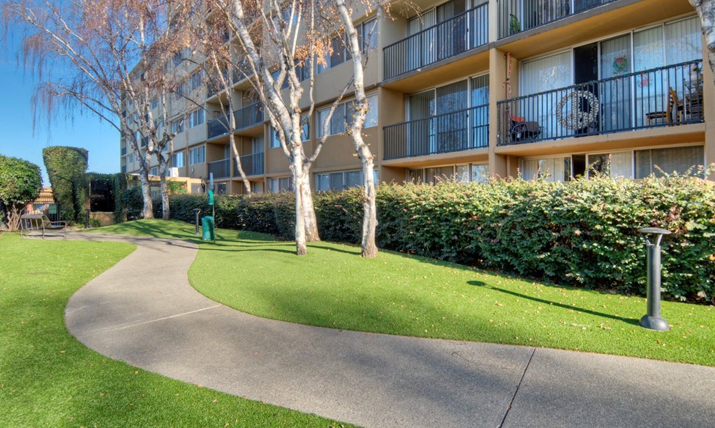 Apartments for Rent in Redwood City, CA - Avenue Two - Dog Park with Manicured Grass, Trees, and Cement Walking Path at Avenue Two Apartments, California