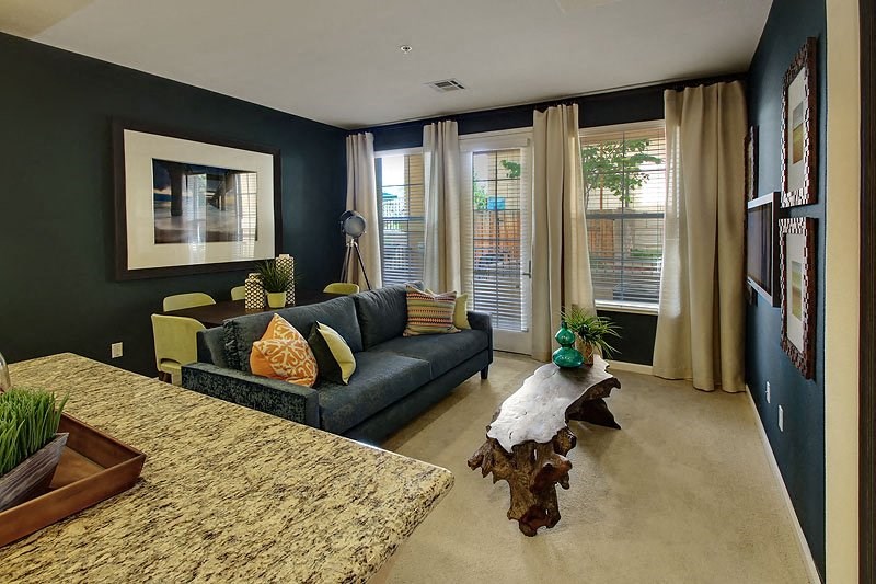 Pet Friendly Apartments in San Jose CA - Aviara - Furnished Living Room with Dark Walls, Navy Sofa and Couch Cushions, Natural Bark Art-Style Coffee Table, Large Windows with Curtains and Blinds, Standing Lamp, Framed Wall Art, Back Table with Chairs, and View of Kitchen Island with Granite Countertop