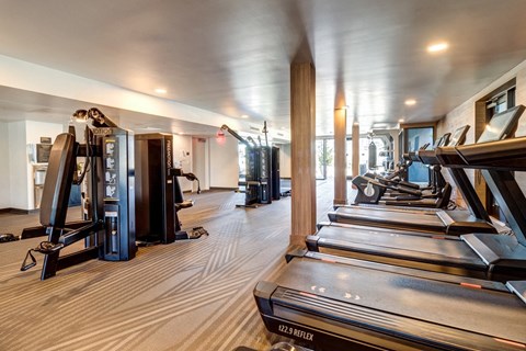 the gym with treadmills and other exercise equipment at the resort
