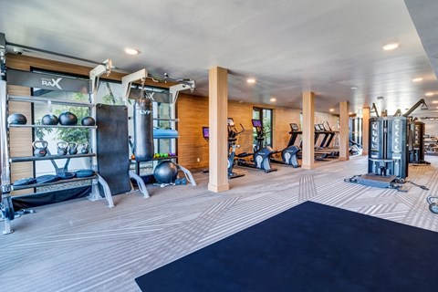a gym with cardio equipment and weights on the floor