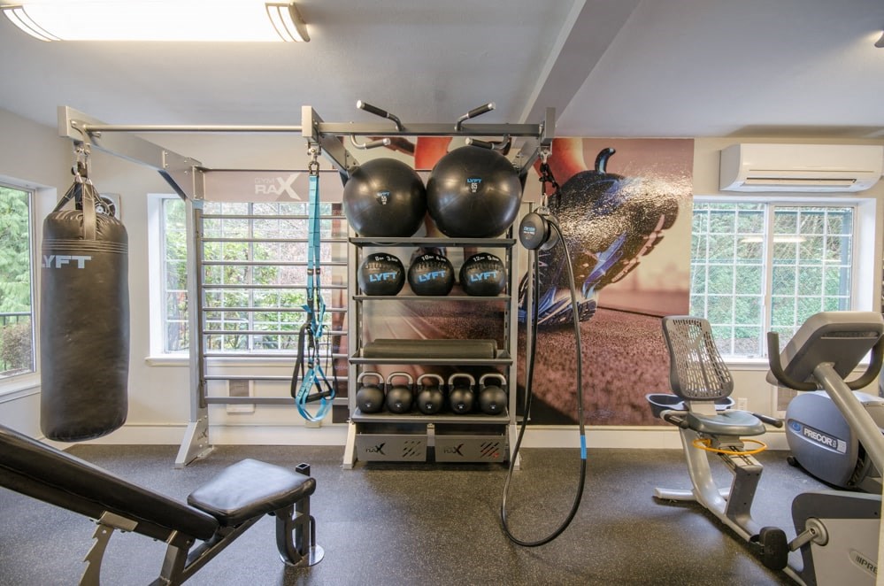 Fitness center with punching bag and medicine balls