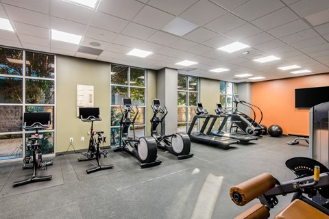 Fitness center with cardio equipment