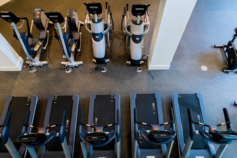 A row of treadmills and exercise bikes are lined up in a gym. at Baker Block, California
