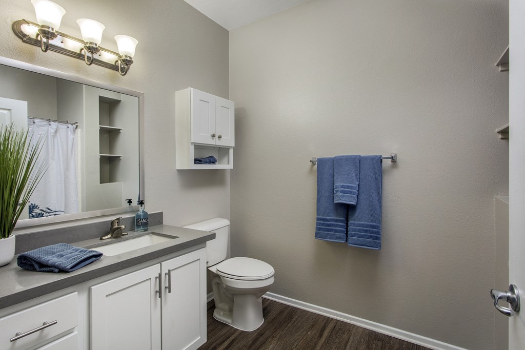 Apartment Bath at 55+ Remington at Ladera Ranch, Ladera Ranch