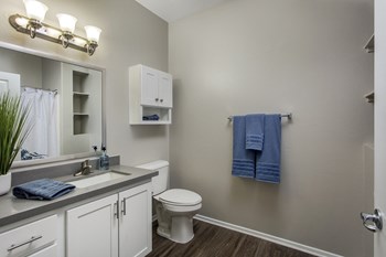 Apartment Bath - Photo Gallery 2