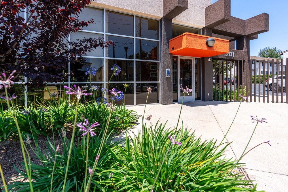 the front of a building with a sidewalk and plants