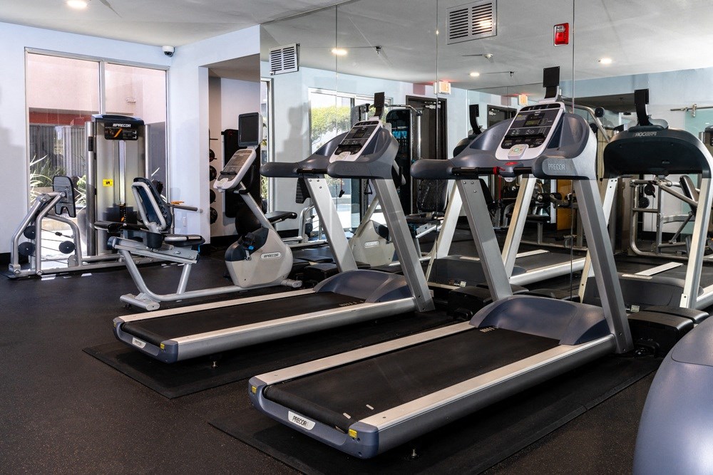 a row of treadmills and other exercise equipment in a gym