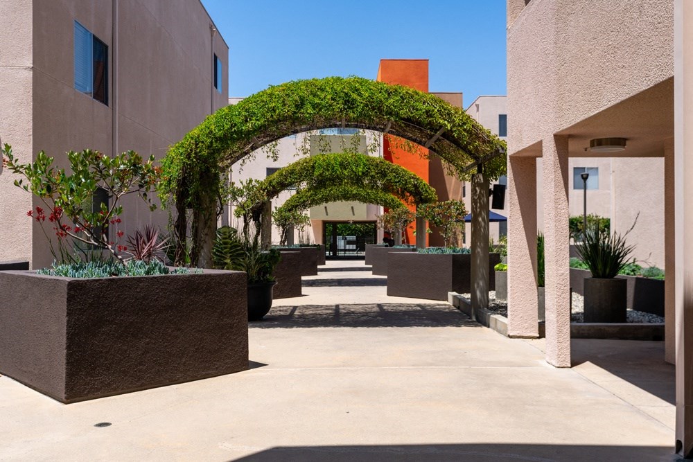 a walkway between two buildings with plants and an archway