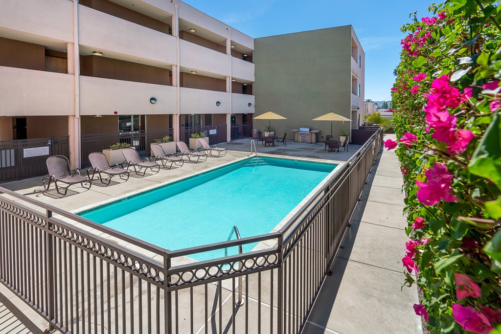 Pool with lounge seating