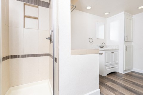 a bathroom with a shower and a sink