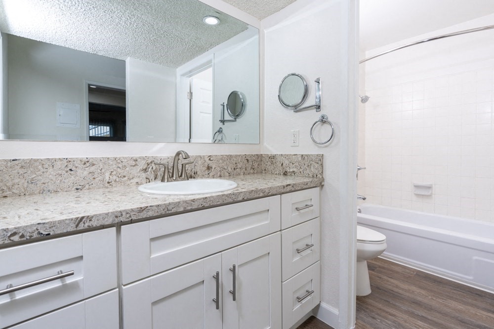 a bathroom with a sink and a toilet and a mirror