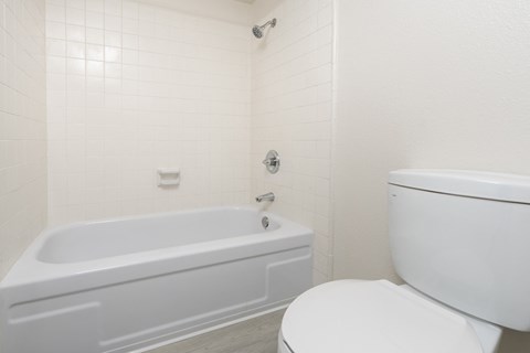 a bathroom with a toilet and a bath tub