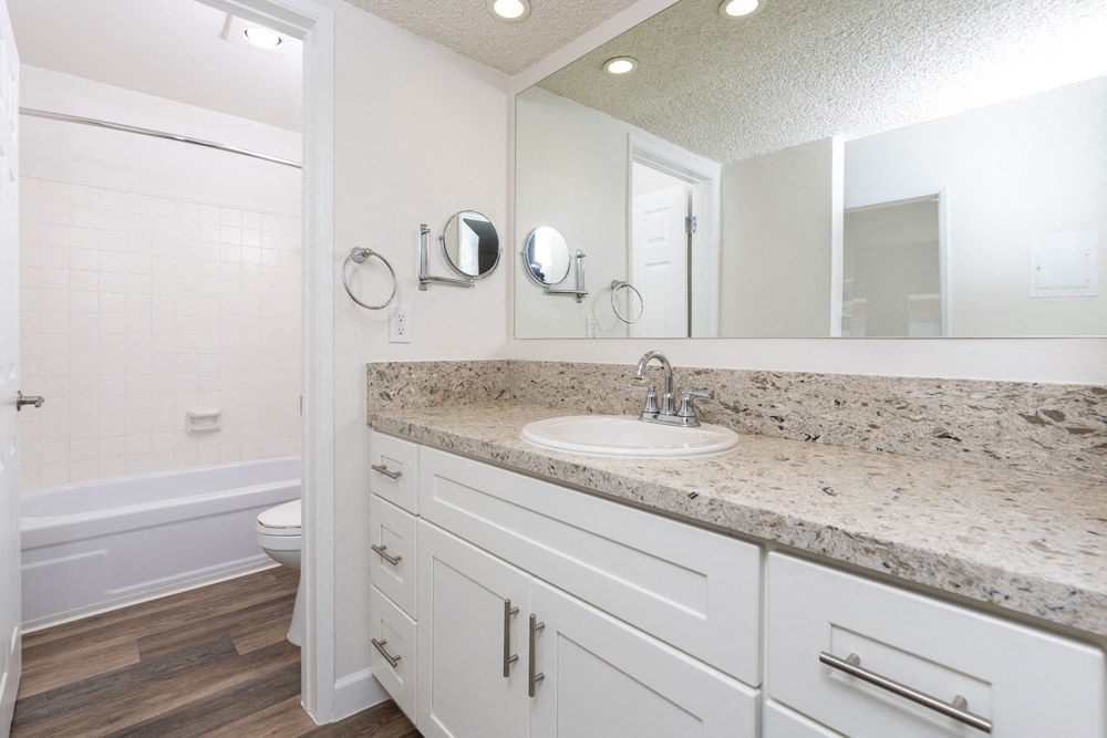 a bathroom with a sink and a toilet and a mirror