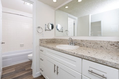 a bathroom with a sink and a toilet and a mirror