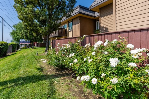 a yard with flowers in front of a house