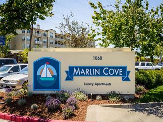 1000 Foster City Blvd 1 Bed Apartment for Rent