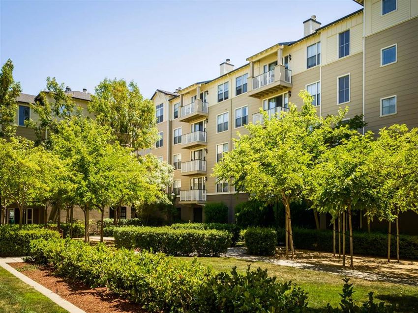 1000 Foster City Blvd 1-2 Beds Apartment for Rent - Photo Gallery