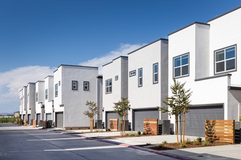 A row of white houses with trees in front.
