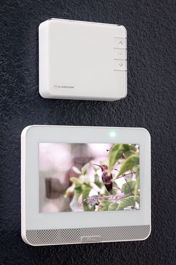 A white device with a screen displaying a picture of a plant.