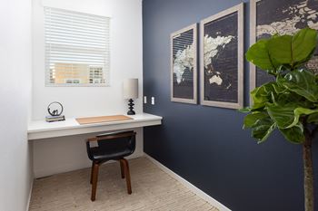 A room with a desk, chair, and a potted plant.