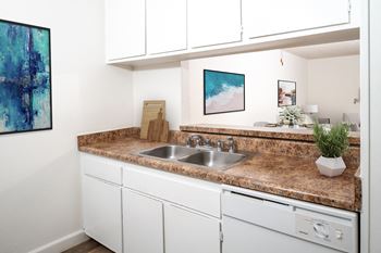 kitchen with dishwasher