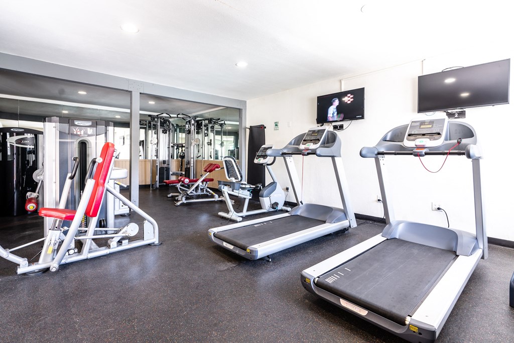 Fitness Center with Treadmill and Gym Equipment