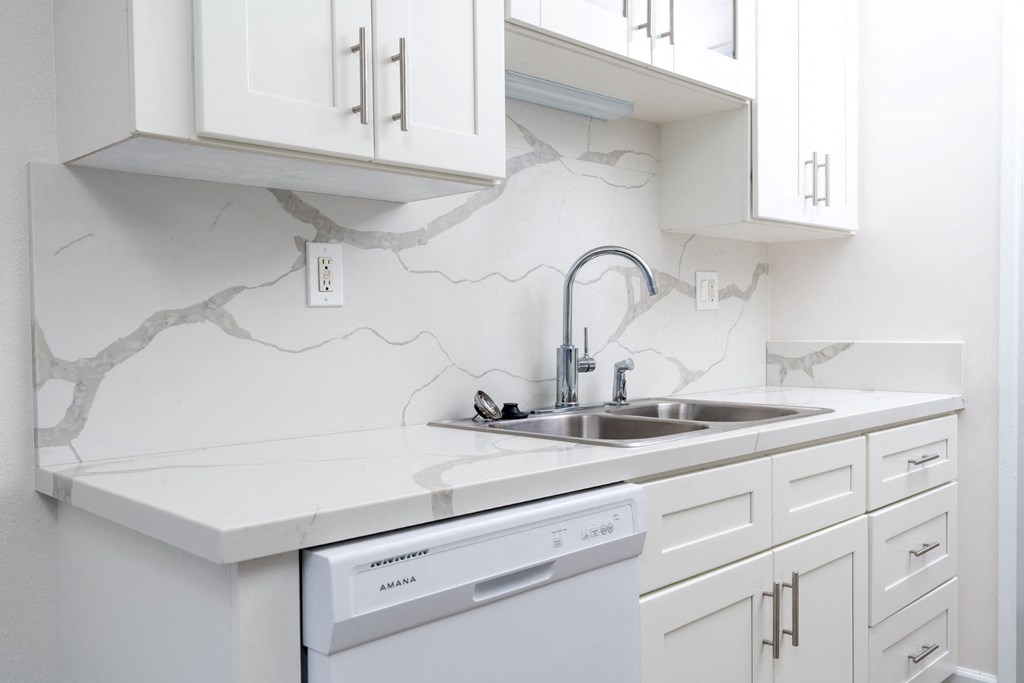 kitchen with sink and dishwasher