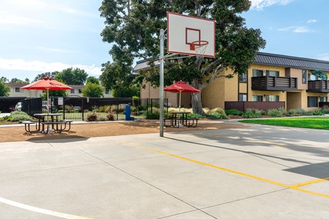 basketball court