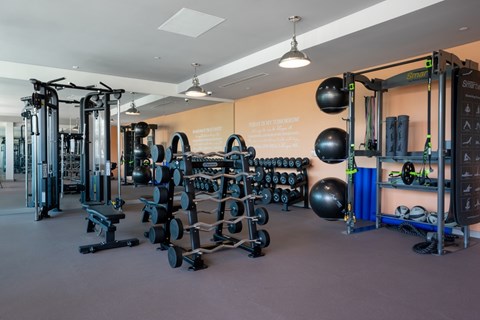 Strength training area with cable machines and free weights at Casa Estilo Apartments, California, 91910