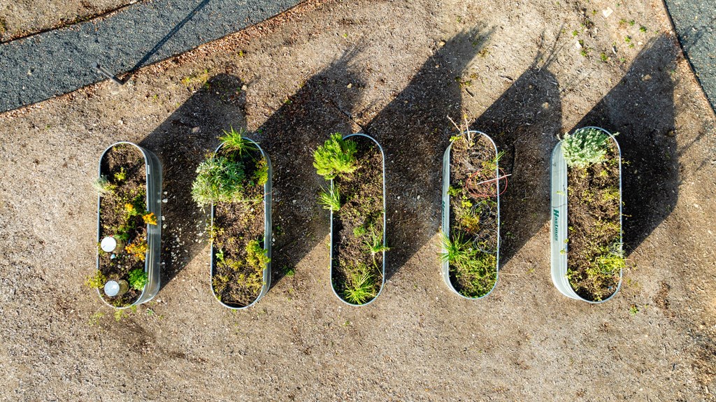 a row of snowboards with plants in them
