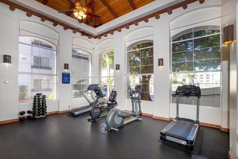 A gym with treadmills, exercise bikes and weights.