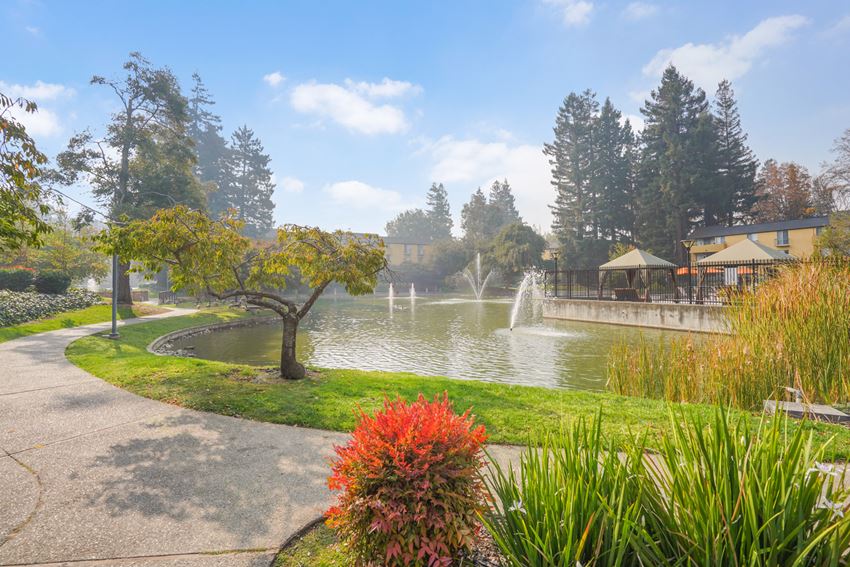 Pond with fountains - Photo Gallery