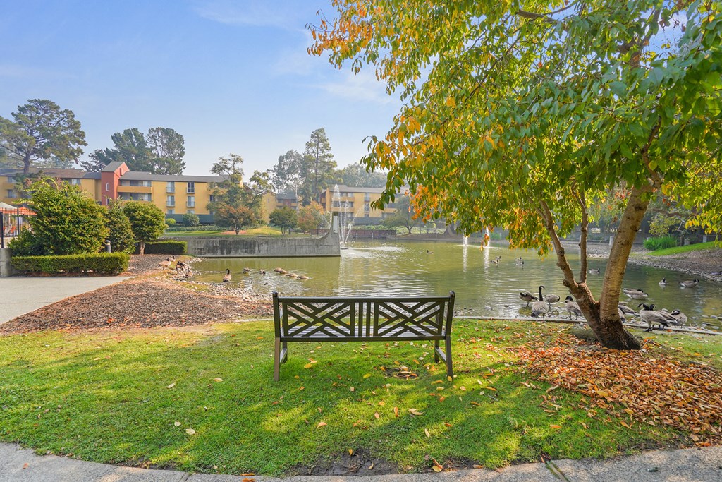 Community Pond With A Bench at Americana Apartments, Mountain View, CA, 94040