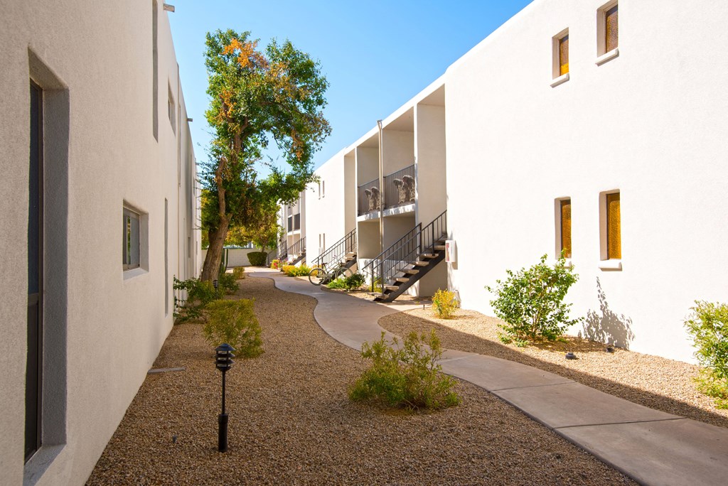 Walkway with landscaping at Winfield of Scottsdale, Scottsdale Arizona 