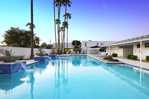Fully Furnished Apartments in Scottsdale, AZ - Winfield Scottsdale - Luxurious Swimming Pool with Clear Blue Water Surrounded by Tall Palm Trees.